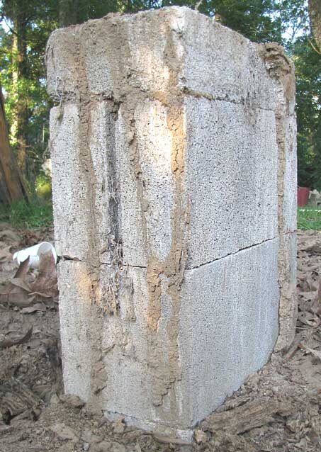 Several brown termite mud tubes running up the side of a concrete block foundation